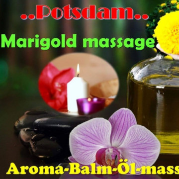 Marigold Massage in Potsdam